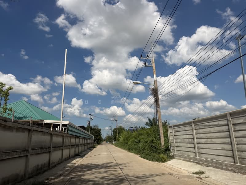 ขายที่ดิน 1-3-90 ไร่ ลาดสวาย ลำลูกกา @15,000 บาท/ตร.ว, Pathum Thani, ลำลูกกา, Lat Sawai, Lam Luk Ka, Pathum Thani, , 3,160 sqm, Land For Sale, by ยอดชาย สราญฤทธิชัย, 500397832 - DDproperty.com