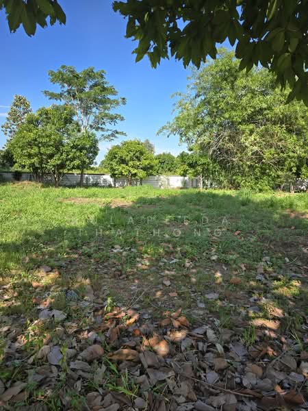 Land for Sale in Mueang Khon Kaen District – 1 Ngan, Khon Kaen, Don Chang, Muang Khon Kaen, Khon Kaen, , 400 sqm, Land For Sale, by Kulapeeda Thathong, 500397895 - DDproperty.com
