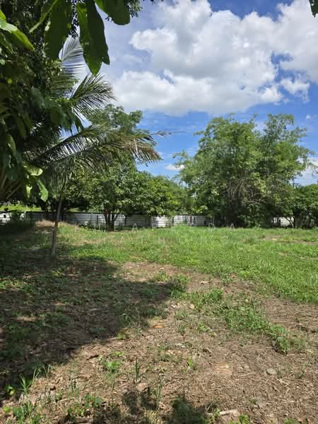 Land for Sale in Mueang Khon Kaen District – 1 Ngan, Khon Kaen, Don Chang, Muang Khon Kaen, Khon Kaen, , 400 sqm, Land For Sale, by Kulapeeda Thathong, 500397895 - DDproperty.com