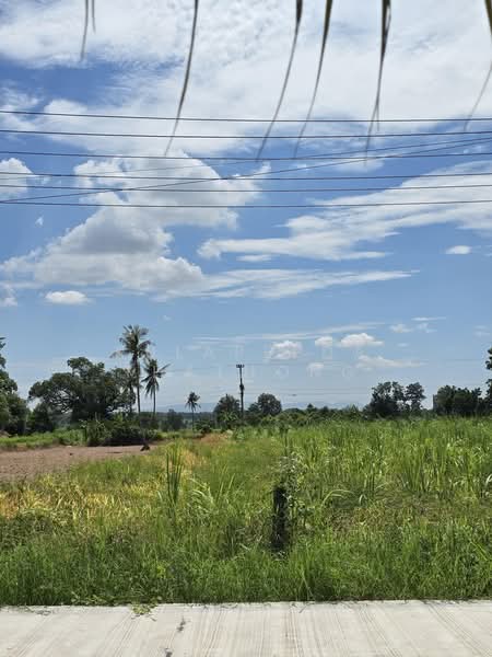 Land for Sale in Mueang Khon Kaen District – 1 Ngan, Khon Kaen, Don Chang, Muang Khon Kaen, Khon Kaen, , 400 sqm, Land For Sale, by Kulapeeda Thathong, 500397895 - DDproperty.com