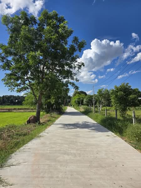 ที่ดินสร้างบ้าน อำเภอเมืองขอนแก่น 1 งาน, ขอนแก่น, ดอนช้าง, เมืองขอนแก่น, ขอนแก่น, 400 ตร.ม., ที่ดิน ขาย, โดย Kulapeeda Thathong, 500397895 - DDproperty.com