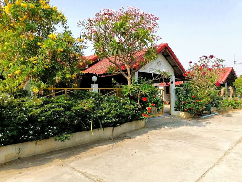 หนองขาว, กาญจนบุรี, หนองขาว, ท่าม่วง, กาญจนบุรี, 500 ตร.ม., บ้านเดี่ยว ขาย, โดย sky, 500397903 - DDproperty.com