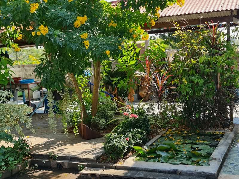 หนองขาว, กาญจนบุรี, หนองขาว, ท่าม่วง, กาญจนบุรี, 500 ตร.ม., บ้านเดี่ยว ขาย, โดย sky, 500397903 - DDproperty.com