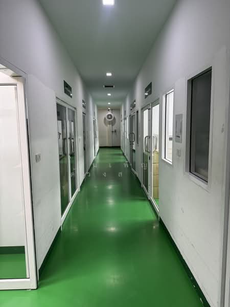 Biggerland Phase 4, Pathum Thani, Lam Luk Ka Road, Khlong 8, Lam Luk Ka, Pathum Thani, , 600 sqm, Warehouse/Factory For Rent, by วันเพ็ญ ด้วงสาว, 500398071 - DDproperty.com