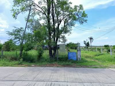 ขาย - ที่ดินพร้อมสิ่งปลูกสร้างหนองจอก กรุงเทพมหานคร, กรุงเทพ