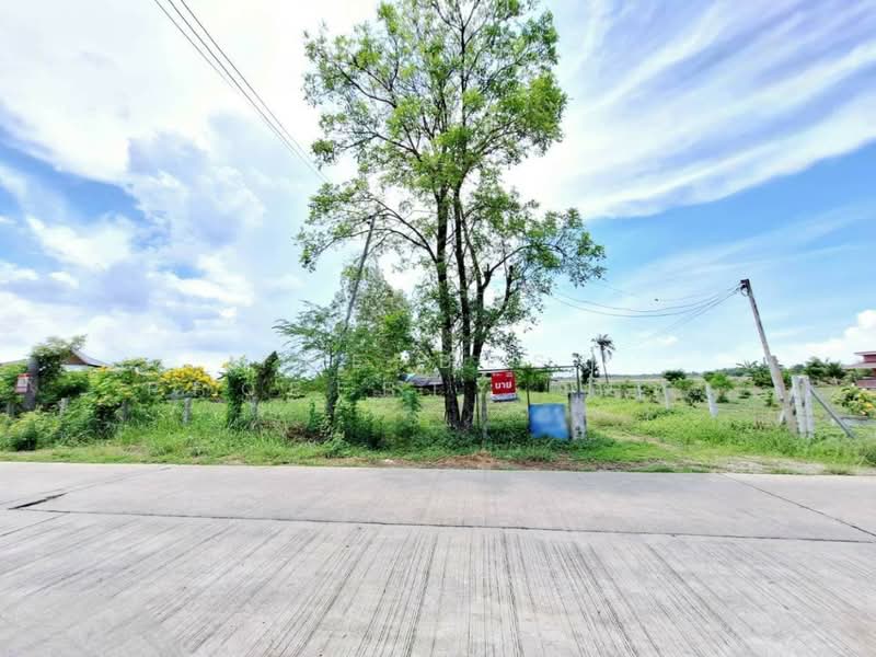 ที่ดินพร้อมสิ่งปลูกสร้างหนองจอก กรุงเทพมหานคร, Bangkok, Khlong Sibsong, Nong Chok, Bangkok, , 1,600 sqm, Land For Sale, by The Best Property เงาะ, 500398121 - DDproperty.com