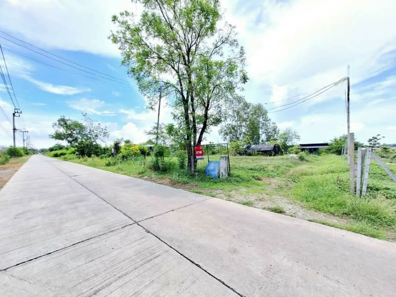 ที่ดินพร้อมสิ่งปลูกสร้างหนองจอก กรุงเทพมหานคร, กรุงเทพ, คลองสิบสอง, หนองจอก, กรุงเทพ, 1,600 ตร.ม., ที่ดิน ขาย, โดย The Best Property เงาะ, 500398121 - DDproperty.com