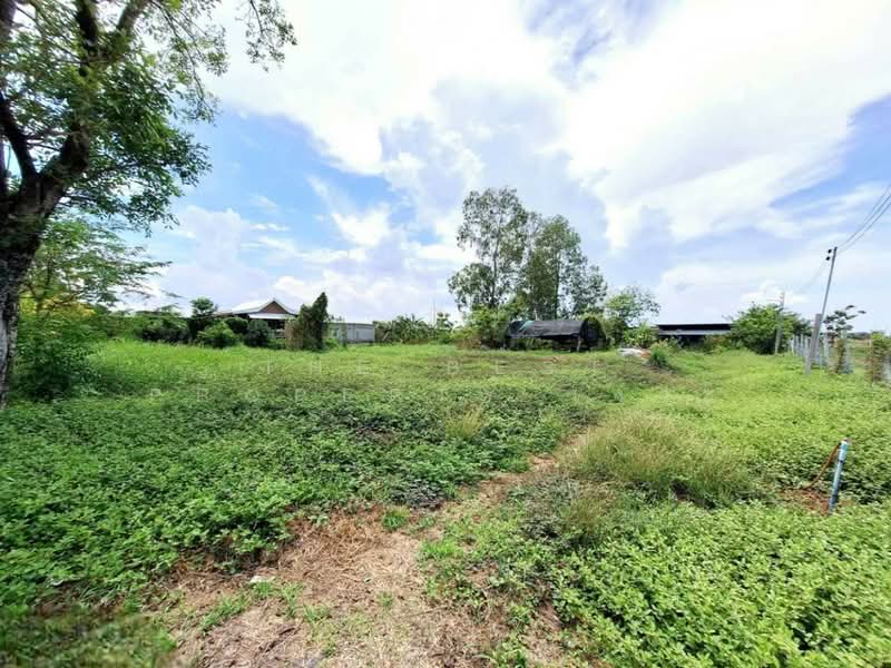 ที่ดินพร้อมสิ่งปลูกสร้างหนองจอก กรุงเทพมหานคร, Bangkok, Khlong Sibsong, Nong Chok, Bangkok, , 1,600 sqm, Land For Sale, by The Best Property เงาะ, 500398121 - DDproperty.com
