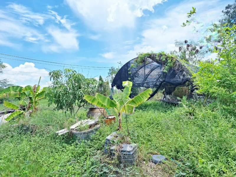 ที่ดินพร้อมสิ่งปลูกสร้างหนองจอก กรุงเทพมหานคร, กรุงเทพ, คลองสิบสอง, หนองจอก, กรุงเทพ, 1,600 ตร.ม., ที่ดิน ขาย, โดย The Best Property เงาะ, 500398121 - DDproperty.com