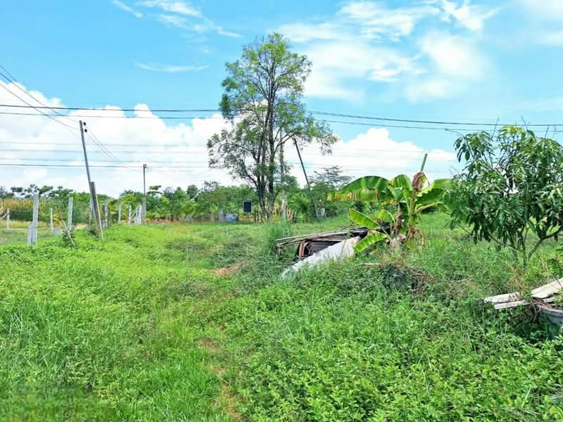 ที่ดินพร้อมสิ่งปลูกสร้างหนองจอก กรุงเทพมหานคร, Bangkok, Khlong Sibsong, Nong Chok, Bangkok, , 1,600 sqm, Land For Sale, by The Best Property เงาะ, 500398121 - DDproperty.com