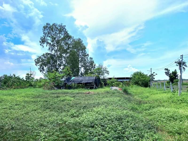 ที่ดินพร้อมสิ่งปลูกสร้างหนองจอก กรุงเทพมหานคร, Bangkok, Khlong Sibsong, Nong Chok, Bangkok, , 1,600 sqm, Land For Sale, by The Best Property เงาะ, 500398121 - DDproperty.com