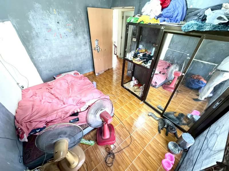 Baan Pruksa 13 Rangsit-Klong 3 : บ้านพฤกษา 13 รังสิต คลอง 3, ปทุมธานี, หมู่บ้านพฤกษา 13, คลองสาม, คลองหลวง, ปทุมธานี, 90 ตร.ม., ทาวน์เฮ้าส์ ขาย, โดย กรณวัสส์ กัณฑวัสส์วงส์, 500398126 - DDproperty.com