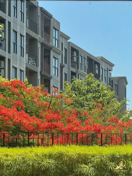 La Habana Hua Hin, Prachuap Khiri Khan, Soi Hua Hin 23, Nong Kae, Hua Hin, Prachuap Khiri Khan, 1 Bedroom, 34 sqm, Condo For Rent, by Wanwisa Scopetta, 500398151 - DDproperty.com