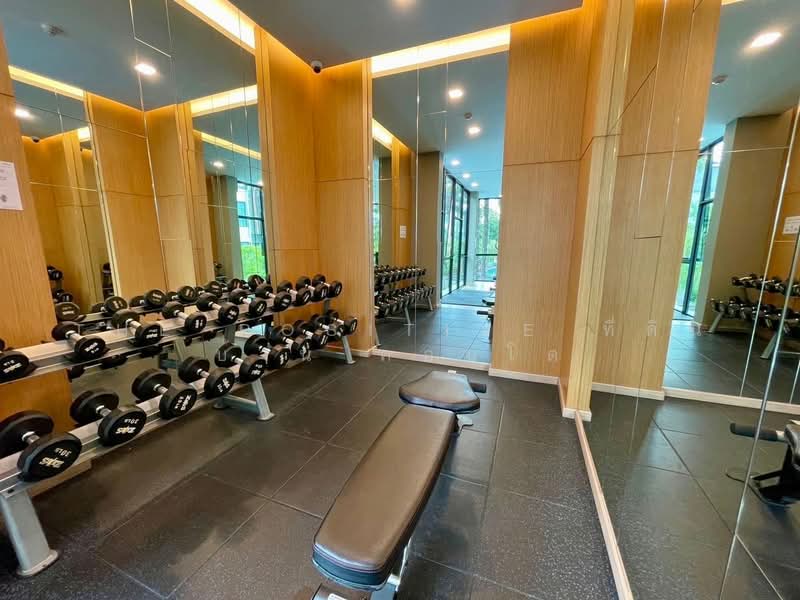 Arise Condo At Mahidol, Chiang Mai, Mahidol Road, Pa Daet, Muang Chiang Mai, Chiang Mai, 1 Bedroom, 27 sqm, Condo For Rent, by The Positive ที่ดิน บ้าน คอนโด, 500398311 - DDproperty.com