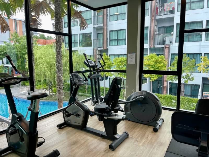 Arise Condo At Mahidol, Chiang Mai, Mahidol Road, Pa Daet, Muang Chiang Mai, Chiang Mai, 1 Bedroom, 27 sqm, Condo For Rent, by The Positive ที่ดิน บ้าน คอนโด, 500398311 - DDproperty.com