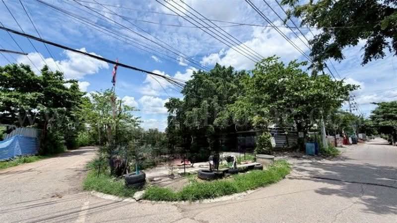 คลอง 2 รังสิต, ปทุมธานี, รังสิต-นครนายก, ประชาธิปัตย์, ธัญบุรี, ปทุมธานี, 444 ตร.ม., ที่ดิน ขาย, โดย คุณ พิมพ์สิริ ( ทราย ), 500398335 - DDproperty.com