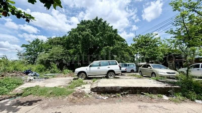 คลอง 2 รังสิต, Pathum Thani, รังสิต-นครนายก, Prachathipat, Thanyaburi, Pathum Thani, , 444 sqm, Land For Sale, by คุณ พิมพ์สิริ ( ทราย ), 500398335 - DDproperty.com