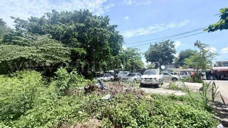 คลอง 2 รังสิต, Pathum Thani, รังสิต-นครนายก, Prachathipat, Thanyaburi, Pathum Thani, , 444 sqm, Land For Sale, by คุณ พิมพ์สิริ ( ทราย ), 500398335 - DDproperty.com
