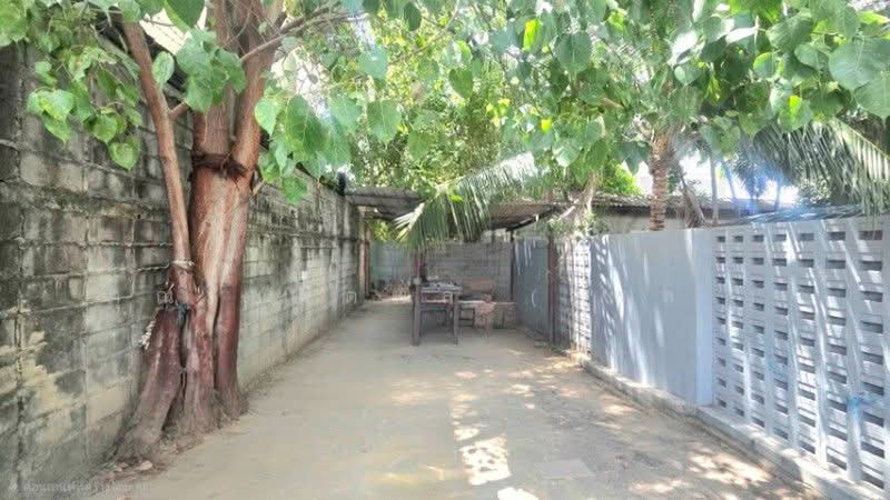 ที่ดินพร้อมสิ่งปลูกสร้าง หอพัก เพชรเกษม 81 บางบอน 5, กรุงเทพ, ถนนมาเจริญ, หนองแขม, กรุงเทพ, 216 ตร.ม., ที่ดิน ขาย, โดย คุณ ชลิตพล ( พล ), 500398361 - DDproperty.com