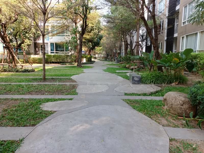 Elements Srinakarin, Bangkok, 43-1 Soi Supaphong 3, Intersection 4, Srinakarin Road, Nong Bon, Prawet, Bangkok, 2 Bedrooms, 63 sqm, Condo For Sale, by คุณ ปั่น อินทะอุ่นวงศ์ (ปั่น), 500398376 - DDproperty.com