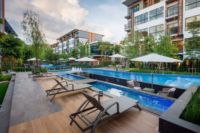 Arise Condo At Mahidol, Chiang Mai, Mahidol Road, Pa Daet, Muang Chiang Mai, Chiang Mai, 1 Bedroom, 32 sqm, Condo For Rent, by The Positive ที่ดิน บ้าน คอนโด, 500398465 - DDproperty.com