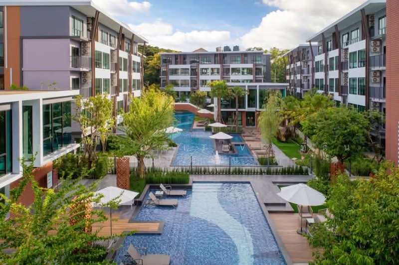 Arise Condo At Mahidol, Chiang Mai, Mahidol Road, Pa Daet, Muang Chiang Mai, Chiang Mai, 1 Bedroom, 32 sqm, Condo For Rent, by The Positive ที่ดิน บ้าน คอนโด, 500398465 - DDproperty.com