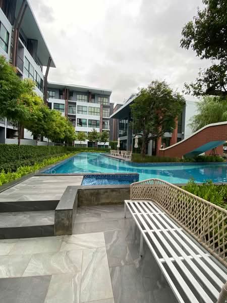 Arise Condo At Mahidol, Chiang Mai, Mahidol Road, Pa Daet, Muang Chiang Mai, Chiang Mai, 1 Bedroom, 32 sqm, Condo For Rent, by The Positive ที่ดิน บ้าน คอนโด, 500398465 - DDproperty.com