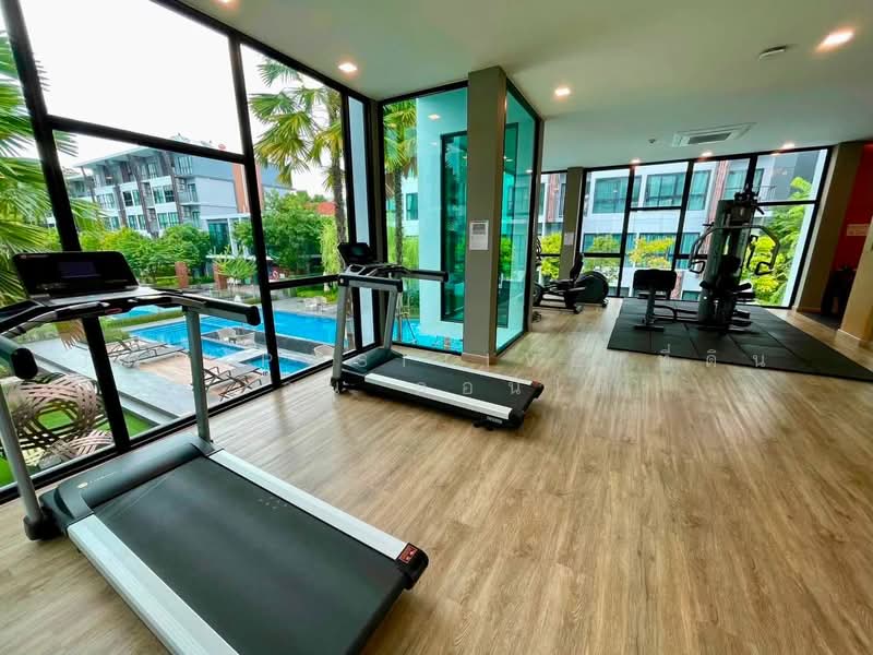 Arise Condo At Mahidol, Chiang Mai, Mahidol Road, Pa Daet, Muang Chiang Mai, Chiang Mai, 1 Bedroom, 32 sqm, Condo For Rent, by The Positive ที่ดิน บ้าน คอนโด, 500398465 - DDproperty.com