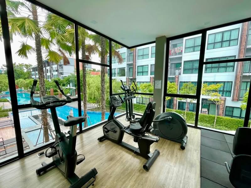 Arise Condo At Mahidol : อะไรซ์ คอนโด แอท มหิดล, เชียงใหม่, ถนน มหิดล, ป่าแดด, เมืองเชียงใหม่, เชียงใหม่, 32 ตร.ม., คอนโด ให้เช่า, โดย The Positive ที่ดิน บ้าน คอนโด, 500398465 - DDproperty.com