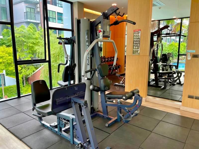 Arise Condo At Mahidol, Chiang Mai, Mahidol Road, Pa Daet, Muang Chiang Mai, Chiang Mai, 1 Bedroom, 32 sqm, Condo For Rent, by The Positive ที่ดิน บ้าน คอนโด, 500398465 - DDproperty.com
