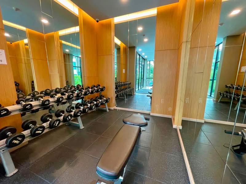 Arise Condo At Mahidol, Chiang Mai, Mahidol Road, Pa Daet, Muang Chiang Mai, Chiang Mai, 1 Bedroom, 32 sqm, Condo For Rent, by The Positive ที่ดิน บ้าน คอนโด, 500398465 - DDproperty.com