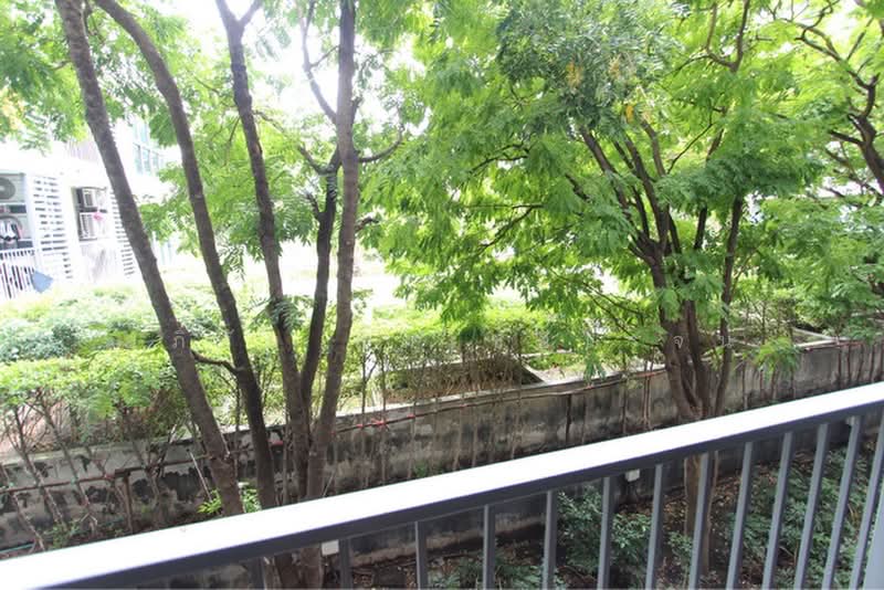 Aspen Condo Lasalle : เอสเพน คอนโด ลาซาล, กรุงเทพ, ซอยสุขุมวิท 105 (ลาซาล), บางนา, กรุงเทพ, 24 ตร.ม., คอนโด ขาย, โดย อภิชัย ลิ้มไชยโรจน์, 500398489 - DDproperty.com