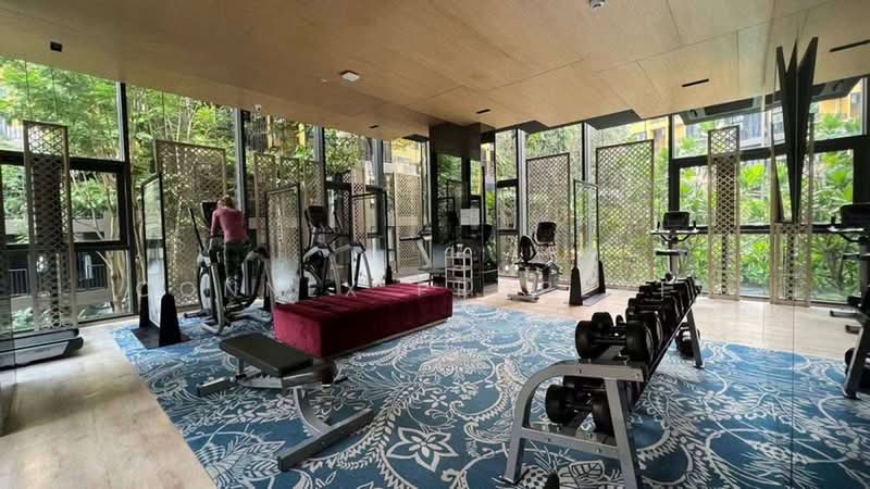 The Base Central, Phuket, Chao Fah Tawan Tok Rd, Wichit, Muang Phuket, Phuket, 1 Bedroom, 31 sqm, Condo For Sale, by Connex Property, 500398553 - DDproperty.com