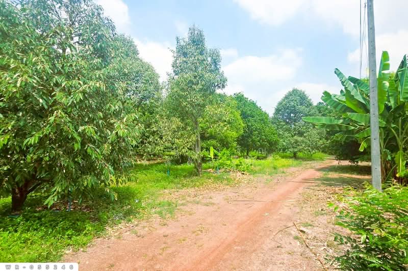 Land for sale in Khok Mai Lai, Nong Cha Om intersection, Prachinburi city WR-055246, Prachin Buri, Khok Mai Lai, Muang Prachin Buri, Prachin Buri, , 74,844 sqm, Land For Sale, by Benchawarin Pakkawetppisit, 500398561 - DDproperty.com