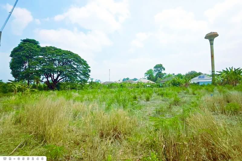 ที่ดินโคกไม้ลาย 46 ไร่ 311 ตร.ว. แยกหนองชะอม เมืองปราจีนบุรี ใกล้ มจพ.วิทยาเขตปราจีนบุรี WR-055246, ปราจีนบุรี, โคกไม้ลาย, เมืองปราจีนบุรี, ปราจีนบุรี, 74,844 ตร.ม., ที่ดิน ขาย, โดย เบ็ญจวริณ ภัคเวทพิสิษฐ์(เบ็ญ), 500398561 - DDproperty.com