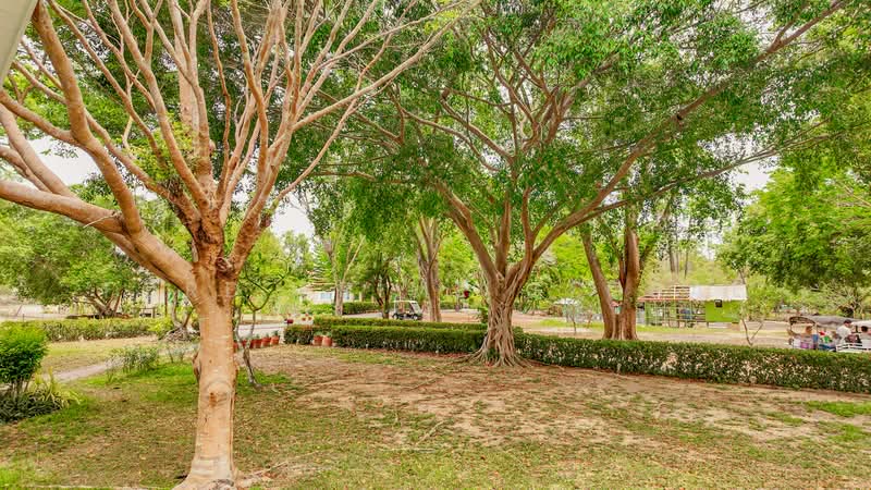 Fisherman Way Beach Villa, Phuket, Rawai, Muang Phuket, Phuket, 2 Bedrooms, 120 sqm, Single Detached House For Rent, by Ford Prime global, 500398653 - DDproperty.com