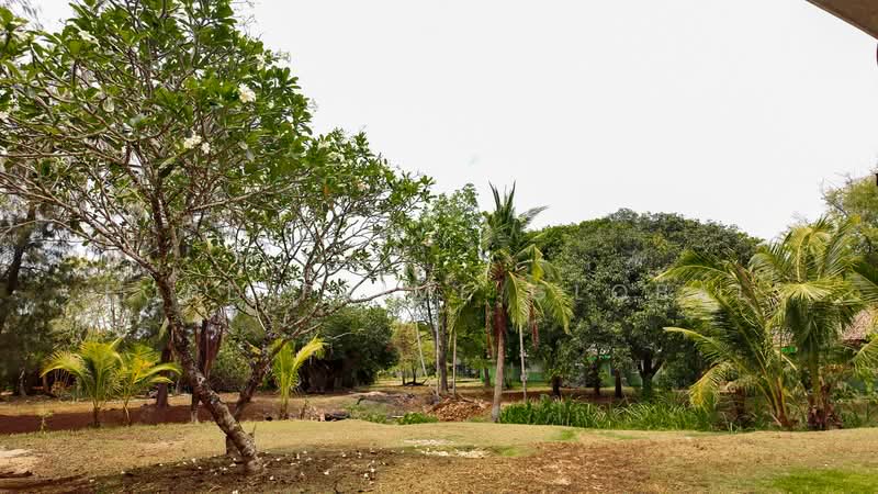 Fisherman Way Beach Villa, Phuket, Rawai, Muang Phuket, Phuket, 2 Bedrooms, 120 sqm, Single Detached House For Rent, by Ford Prime global, 500398653 - DDproperty.com