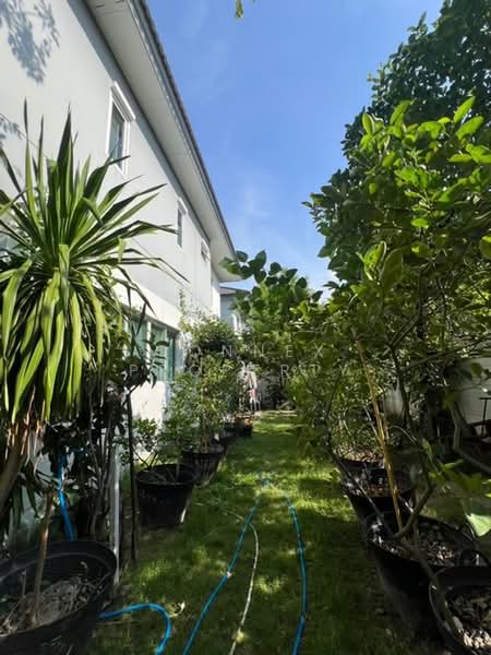 SENA Park Ville Ramindra-Wongwaen : เสนาพาร์ค วิลล์ รามอินทรา - วงแหวน, กรุงเทพ, หมู่บ้านเสนาพาร์ควิลล์ ซอย 2, คันนายาว, กรุงเทพ, 21 ตร.ม., บ้านเดี่ยว ขาย, โดย Connex Property, 500398661 - DDproperty.com
