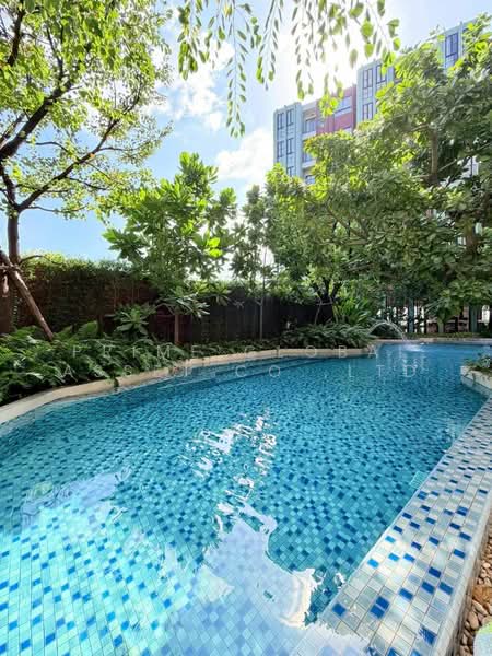 The Base Bukit Phuket : เดอะ เบส บูกิต, ภูเก็ต, 12 ถ.วิชิตสงคราม, วิชิต, เมืองภูเก็ต, ภูเก็ต, 36 ตร.ม., คอนโด ให้เช่า, โดย Prime Global Asset Co.,Ltd, 500398716 - DDproperty.com