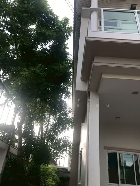 บ้านเดี่ยว สุขุมวิท 101/1 ซอยลิขิต, Bangkok, Bang Chak, Phra Khanong, Bangkok, 4 Bedrooms, 250 sqm, Single Detached House For Rent, by พิมพ์ภัทรา แจ่มอุลิตรัตน, 500398985 - DDproperty.com