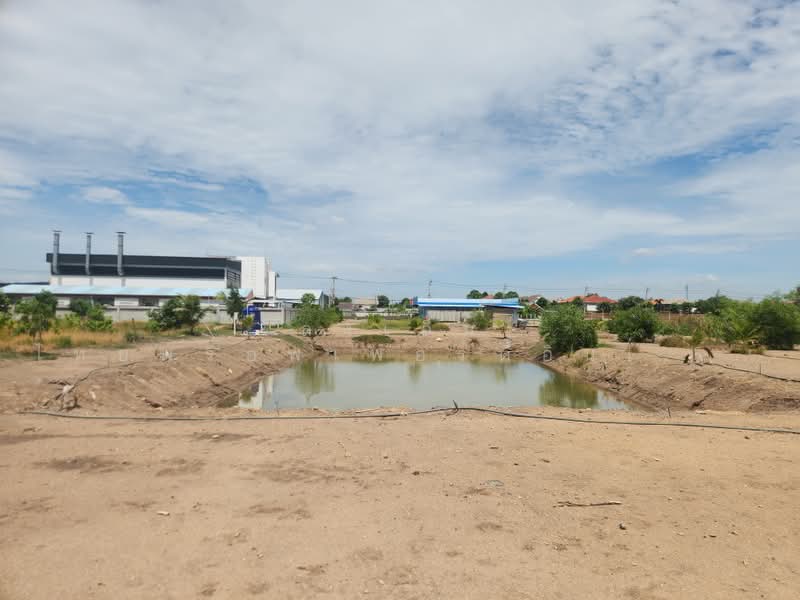 Land for Sale in Khlong Phra Udom, Pak Kret | 3 Rai Filled Land near Chaiyaphruek, Nonthaburi, Khlong Phra Udom, Pak Kret, Nonthaburi, , 4,805 sqm, Land For Sale, by ลุงเอ็ม ไทยพร็อพเพอร์ตี้อินเวสเตอร์, 500399168 - DDproperty.com