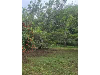 ขาย - ที่ดินนายายอาม จันทบุรี, จันทบุรี