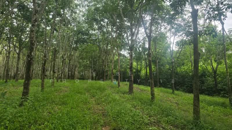ที่ดินนายายอาม จันทบุรี, จันทบุรี, วังใหม่, นายายอาม, จันทบุรี, 23,022 ตร.ม., ที่ดิน ขาย, โดย The Best Property เอ, 500399223 - DDproperty.com