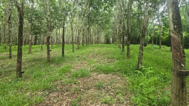 ที่ดินนายายอาม จันทบุรี, Chanthaburi, Wang Mai, Na Yai Am, Chanthaburi, , 23,022 sqm, Land For Sale, by The Best Property เอ, 500399223 - DDproperty.com