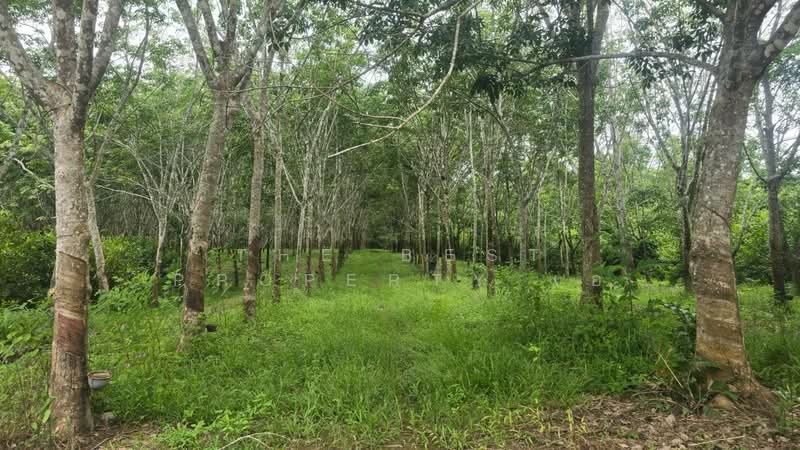 ที่ดินนายายอาม จันทบุรี, Chanthaburi, Wang Mai, Na Yai Am, Chanthaburi, , 23,022 sqm, Land For Sale, by The Best Property เอ, 500399223 - DDproperty.com