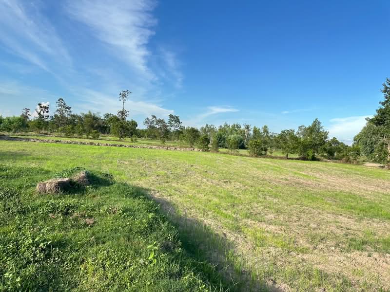 ที่ดินเขื่องใน อุบลราชธานี, Ubon Ratchathani, Yang Khi Nok, Khuang Nai, Ubon Ratchathani, , 12,500 sqm, Land For Sale, by The Best Property อ้อ, 500399229 - DDproperty.com