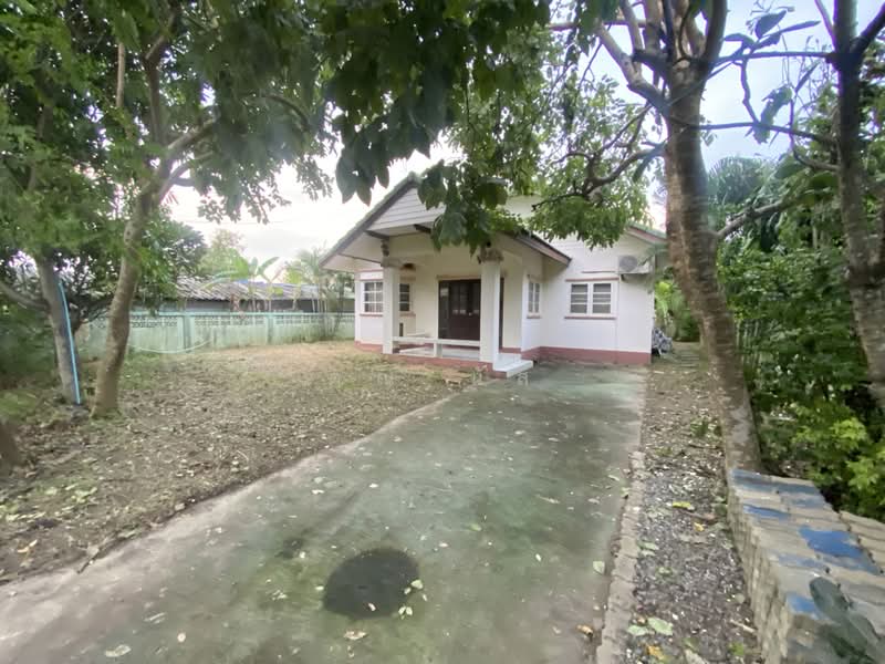 ขายบ้านเดี่ยวชั้นเดียว บ้านใหม่ 92 ตร.ว. พร้อมเฟอร์นิเจอร์ครบ เข้าอยู่ได้ทันที ซอย รร.บ้านใหม่, นนทบุรี, บ้านใหม่, บางใหญ่, นนทบุรี, 99 ตร.ม., บ้านเดี่ยว ขาย, โดย คุณ นัส, 500399402 - DDproperty.com