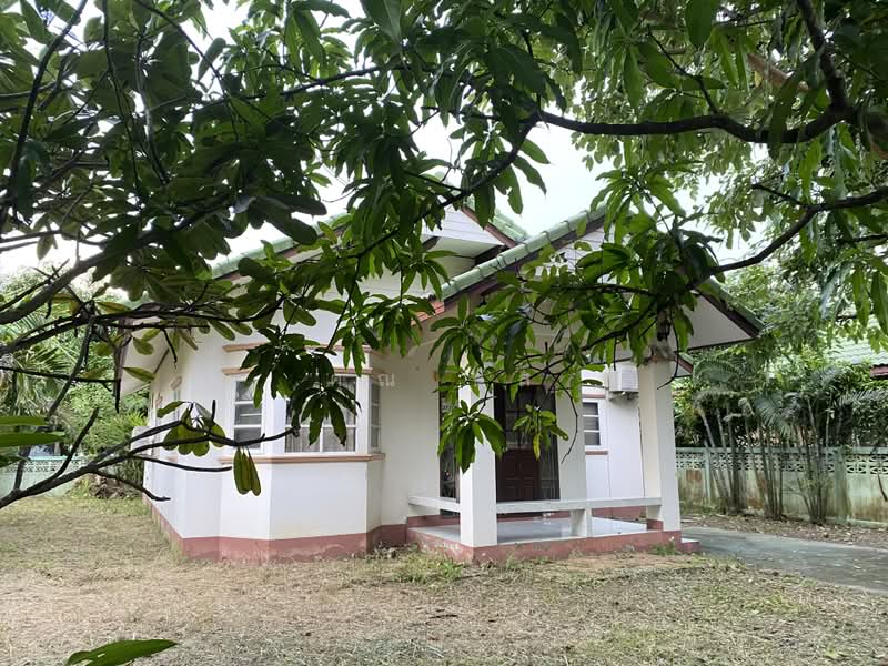 ขายบ้านเดี่ยวชั้นเดียว บ้านใหม่ 92 ตร.ว. พร้อมเฟอร์นิเจอร์ครบ เข้าอยู่ได้ทันที ซอย รร.บ้านใหม่, นนทบุรี, บ้านใหม่, บางใหญ่, นนทบุรี, 99 ตร.ม., บ้านเดี่ยว ขาย, โดย คุณ นัส, 500399402 - DDproperty.com