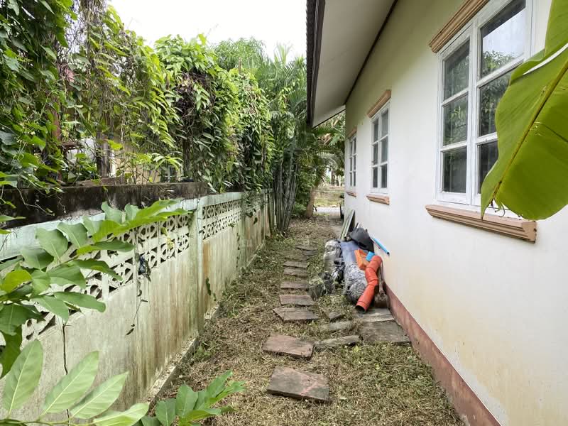 ขายบ้านเดี่ยวชั้นเดียว บ้านใหม่ 92 ตร.ว. พร้อมเฟอร์นิเจอร์ครบ เข้าอยู่ได้ทันที ซอย รร.บ้านใหม่, นนทบุรี, บ้านใหม่, บางใหญ่, นนทบุรี, 99 ตร.ม., บ้านเดี่ยว ขาย, โดย คุณ นัส, 500399402 - DDproperty.com