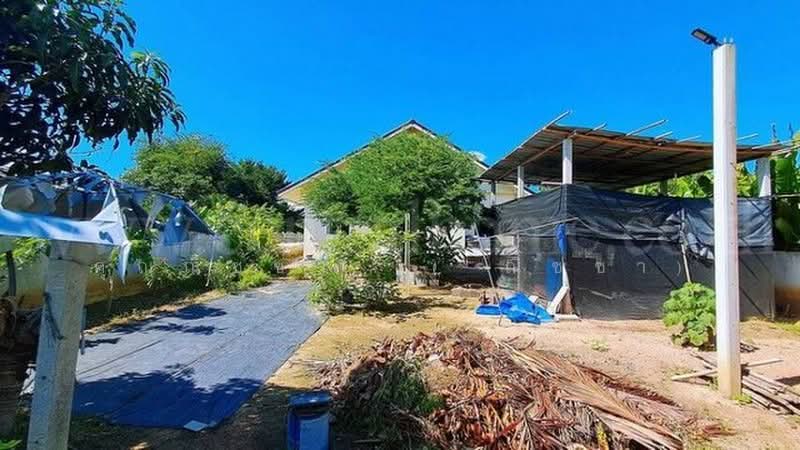 ซอย บ้านแปลงมะเขือ 8, Chon Buri (Pattaya), ฉะเชิงเทรา-สัตหีบ, Nong Hiang, Phanat Nikhom, Chon Buri (Pattaya), 4 Bedrooms, 146 sqm, Single Detached House For Sale, by คุณณิชชา ( ณิชชา), 500399410 - DDproperty.com